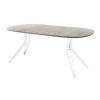 Обеденный стол AMC Elite (серии SLIM) / E21(800) D7 (белый/Дуб Уайт-Ривер песочно-бежевый)