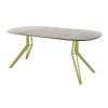Обеденный стол AMC Elite (серии SLIM) / E21(900) D7 (золото/Дуб Уайт-Ривер песочно-бежевый)