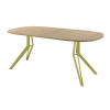 Обеденный стол AMC Elite (серии SLIM) / E21(900) D7 (золото/Дуб Небраска Натуральный)