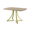 Обеденный стол AMC Elite (серии SLIM) / E24(1100) D2 (золото/Дуб Небраска Натуральный)