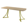 Обеденный стол AMC Elite (серии SLIM) / E24(1100) D2 (золото/Дуб Небраска Натуральный)