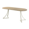 Обеденный стол AMC Elite (серии SLIM) / E24(1100) D3 (бежевый/Дуб Небраска Натуральный)