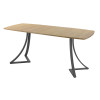 Обеденный стол AMC Elite (серии SLIM) / E24(1200) D6 (графит/Дуб Небраска Натуральный)