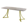 Обеденный стол AMC Elite (серии SLIM) / E24(1100) D6 (золото/Дуб Уайт-Ривер песочно-бежевый)