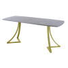 Обеденный стол AMC Elite (серии SLIM) / E24(1200) D6 (золото/Бетон Чикаго светло-серый)